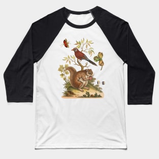 Squirrel and Bird Colorful Wildlife Illustration Baseball T-Shirt